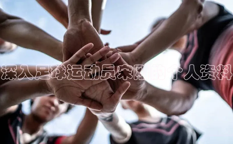 门徒平台注册登录字节跳动深入足球运动员宋刚的个人资料