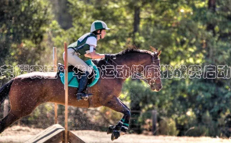 门徒注册登录地址雷柏科技荣耀赛道：华为运动健康挑战赛启动