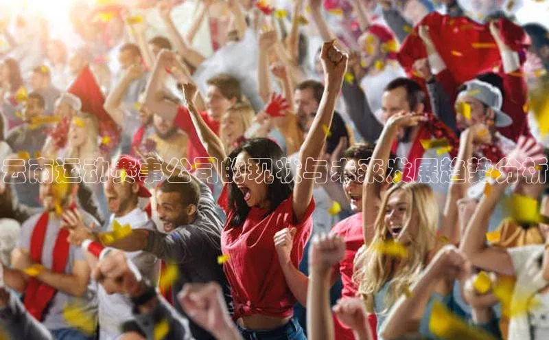 门徒平台官网蓝色光标云南运动赛事公司的现状与未来发展趋势分析