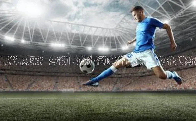 民族风采：少数民族运动会的魅力与文化传统