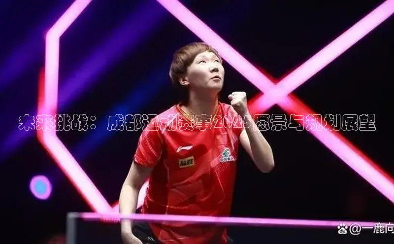 未来挑战：成都运动赛事2025愿景与规划展望