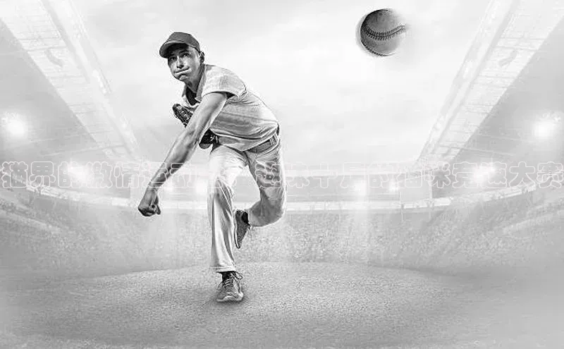 猫界的激情运动会：趣味十足的猫咪竞速大赛