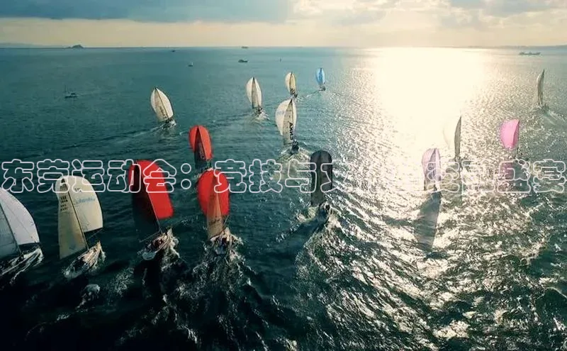 东莞运动会：竞技与文化的交融盛宴