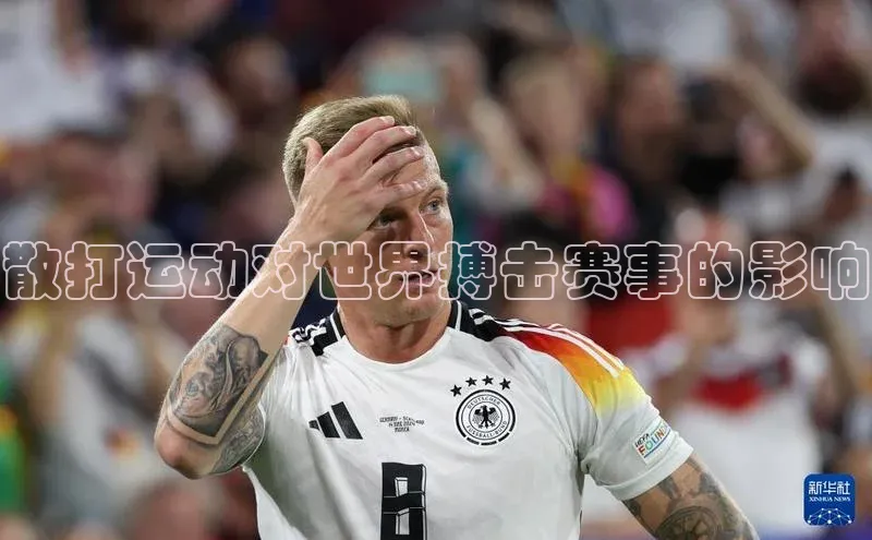 散打运动对世界搏击赛事的影响