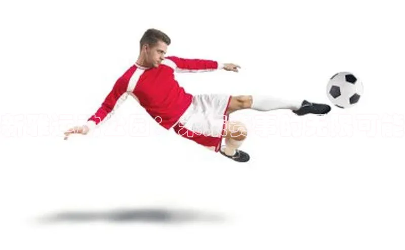 新雅运动公园：未来赛事的无限可能