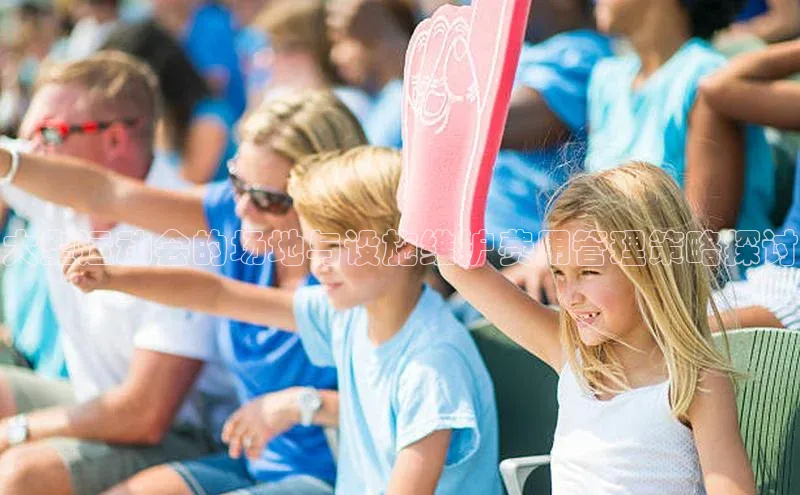 大型运动会的场地与设施维护费用管理策略探讨