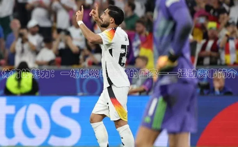 体育的魅力：一场视觉与激情的盛宴——运动赛事简介