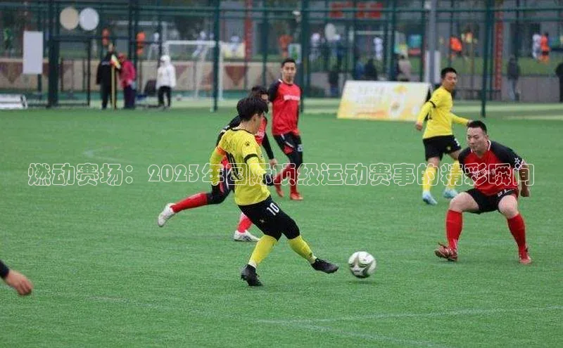 燃动赛场：2023年国际顶级运动赛事的精彩瞬间