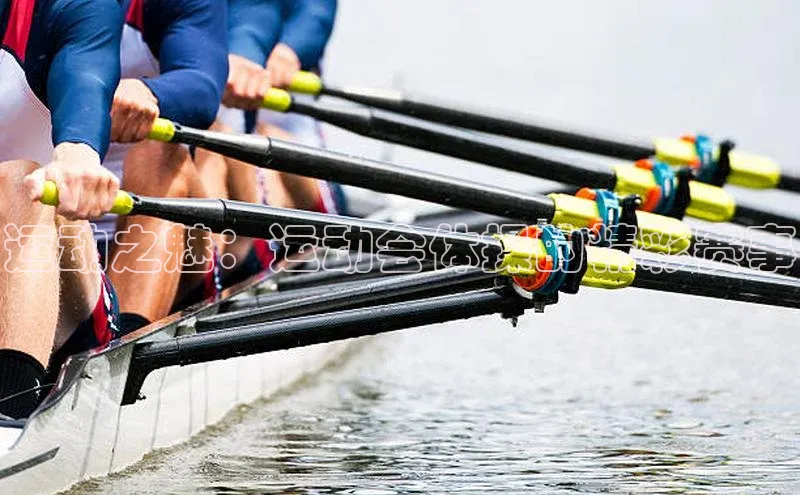 运动之魅：运动会体操的精彩赛事