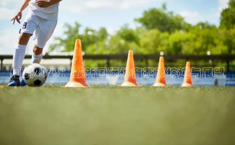 回顾2023：最新国际体育赛事综述与展望