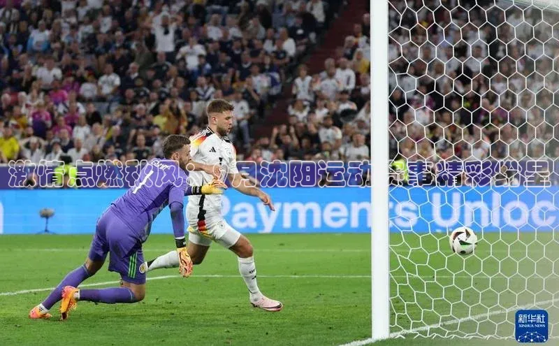 激情点燃秋风：9月沈阳运动赛事精彩纷呈