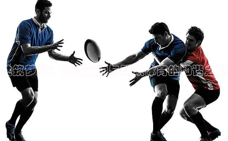 共筑梦想：百姓运动与群众体育的和谐之旅