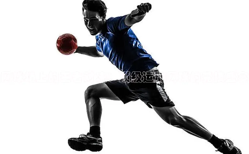 网球场上的王者对决：顶级运动网球的竞技盛宴