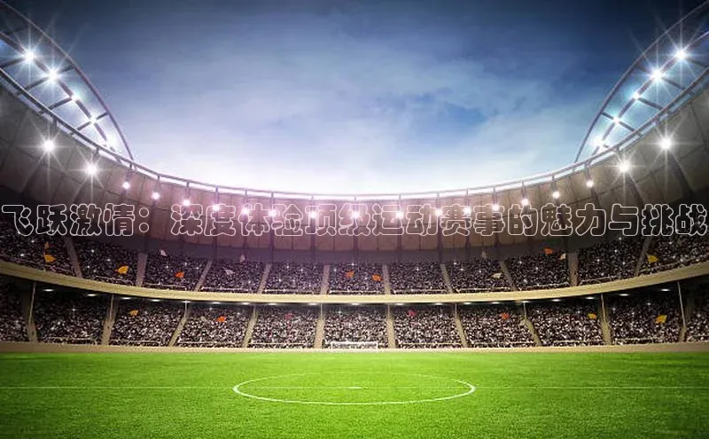 飞跃激情：深度体验顶级运动赛事的魅力与挑战