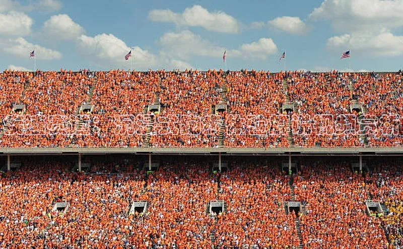 疾速赛道：沉浸式跑步体验解说视频赏析