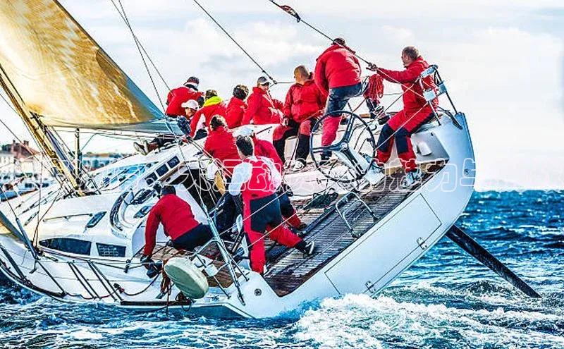 狂奔激情：犬运动赛事的魅力与挑战