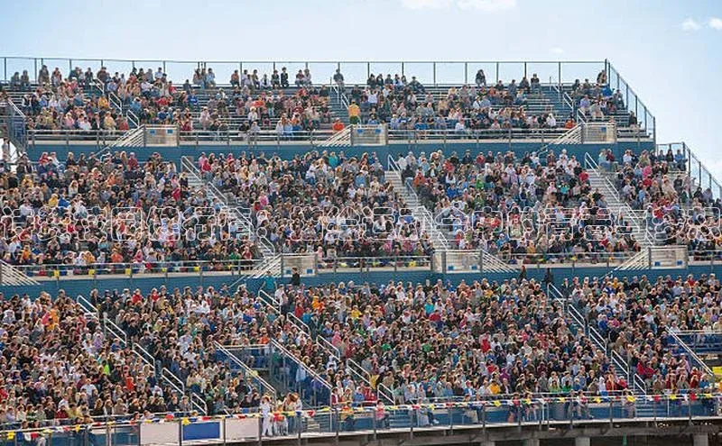 诗赞校园健行情：描绘运动会中的青春与梦想