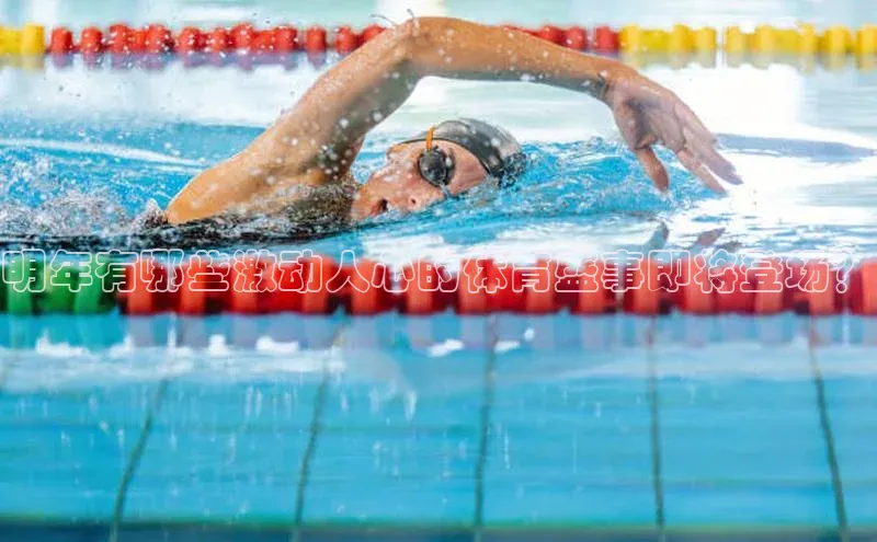 明年有哪些激动人心的体育盛事即将登场？