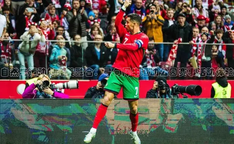 自然与运动的完美融合：寻甸犀牛运动公园赛事活动体验