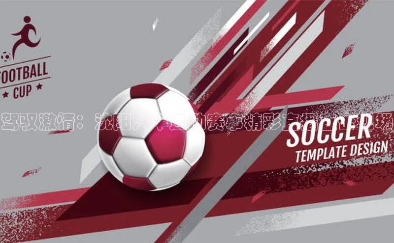 驾驭激情：沈阳汽车运动赛事精彩直播直击现场