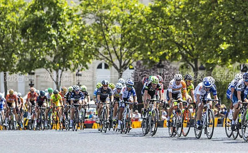 商洛：一场体育盛事——商洛市马拉松大赛亮点回顾